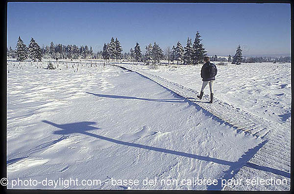 les Hautes Fagnes